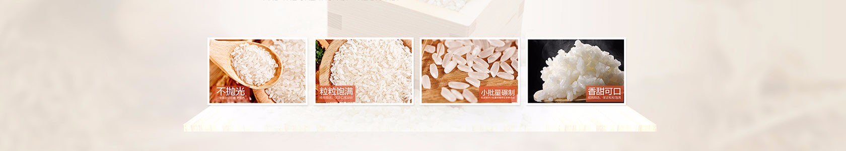互联网企业企业网站模板